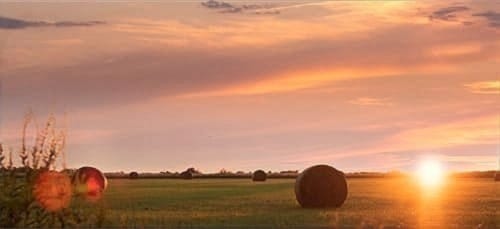 Hayfield with rolled bales in Oklahoma at sunset.