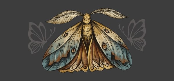About the Winged Ones | by Laura Nováková
